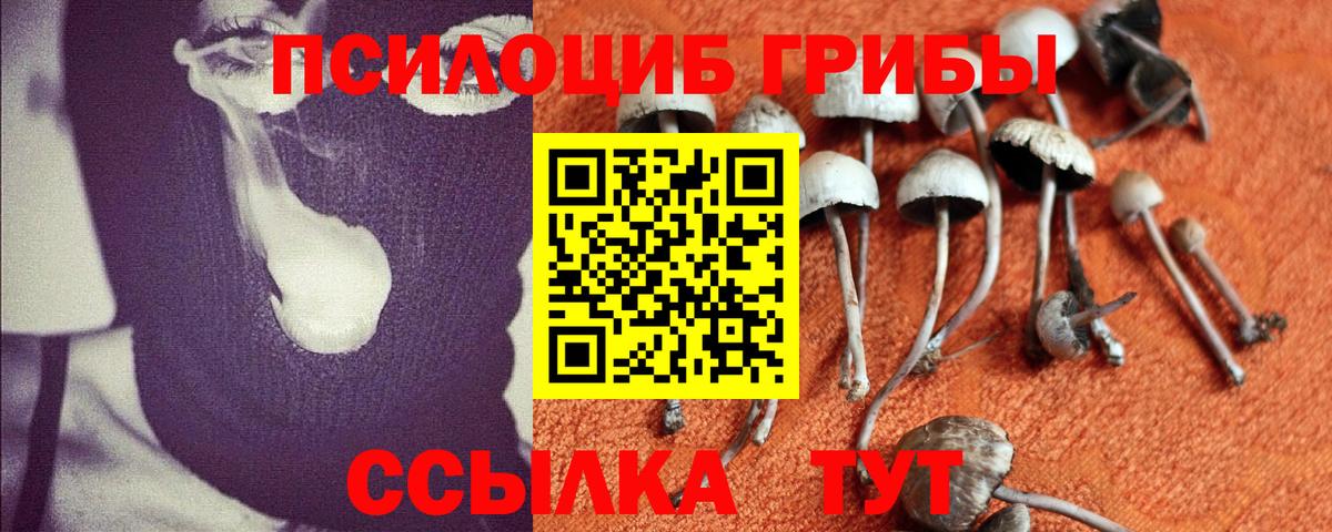 Псилоцибиновые грибы Magic Shrooms  Вход с VPN  Альметьевск  Галлюциногенные грибы Psilocybe 